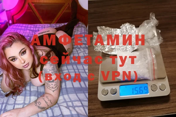 молекула духа Бронницы