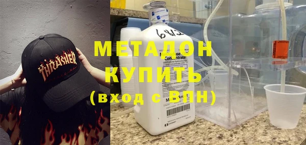 прущие грибы Бородино